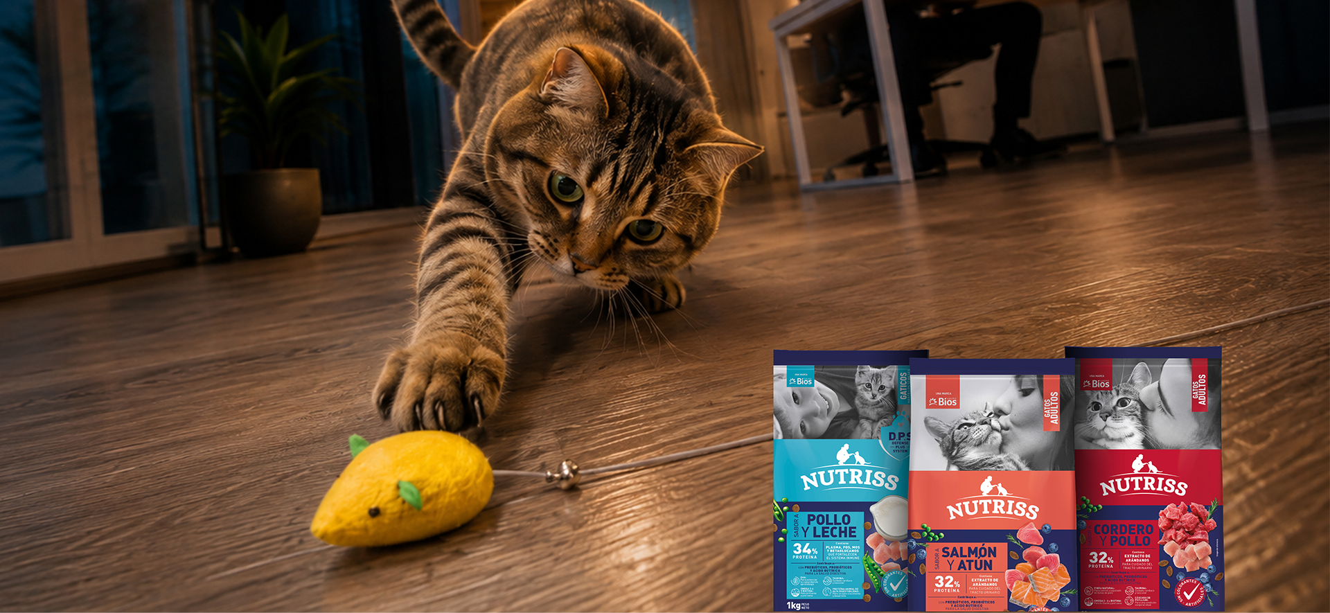 nutriss proteína gatos
